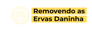 Removendo as Ervas Daninhas